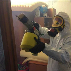 Уничтожение клопов в квартире. Удачный
